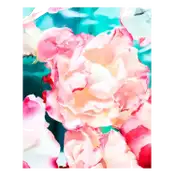Bvlgari Rose Goldea Blossom Delight Eau de Parfum (30ml)