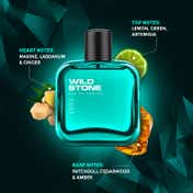 Wild Stone Edge Eau De Parfum (100ml)