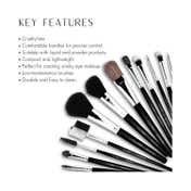 Allure Makeup Brush Set MBS-12 (Pack of 12)