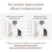 Pyunkang Yul Black Tea Time Reverse Eye Cream (25 ml)
