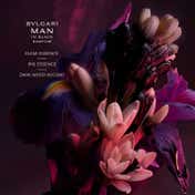 Bvlgari Man In Black Parfum (60 ml)