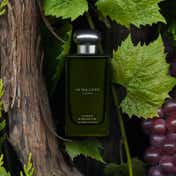 Jo Malone London Cypress & Grapevine Cologne Intense (100ml)