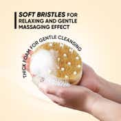 Vega Bristle Bath Brush with Massager (NBA 1-2) (207 g)