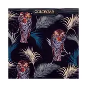 Colorbar Safari Big Flat Pouch - Multi