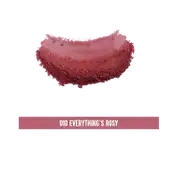 Colorbar Cheekillusion Blush - 010 Everything`S Rosy (4 g)