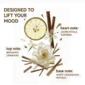Inde Wild Solar Hair & Body Perfume Mist for Women (60 ml)
