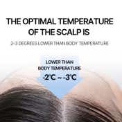 CURLYSHYLL Revitalizing Treatment for Scalp & Hair (100 ml)