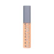 Daily Life Forever52 Academic Concealer - FAC4.35 Warm Tan (10.2 ml)