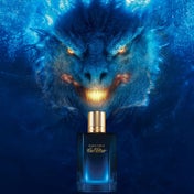 DAVIDOFF Cool Elixir Parfum for Men (50 ml)