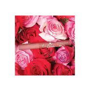Daily Life Forever52 Velvet Rose Matte Lipstick - RS010 (2.8 g)