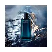 DAVIDOFF Cool Water Eau De Toilette Spray (40ml)