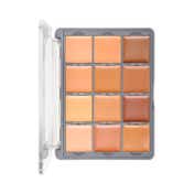 Daily Life Forever52 Academic 12 Color Concealer Palette - FAC701 (24 g)