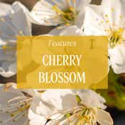L'occitane Cherry Blossom Hand Cream - (30ml)