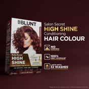 BBlunt Salon Secret High Shine Conditioning Hair Colour Mahogany Reddish Brown Combo