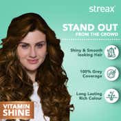 Streax Hair Colour - Golden Blonde (1 pc)