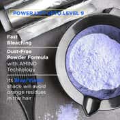 Hair Pure Bleaching Decolorant Powder (100 g)
