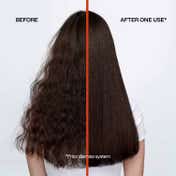 REDKEN Frizz Dismiss Shampoo for Dry & Frizzy Hair (300 ml)