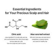 CURLYSHYLL Revitalizing Shampoo (360 ml)
