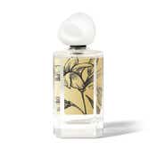 Secret Alchemist Signature Line Royal Tuberose Perfume for Women (100 ml)