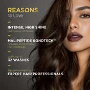 BBlunt Salon Secret High Shine Conditioning Hair Colour - 3 Chocolate Dark Brown (130 g)