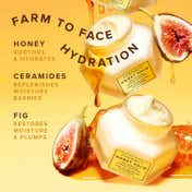 Farmacy Beauty Honey Halo Ultra-Hydrating Ceramide Moisturizer (25ml)