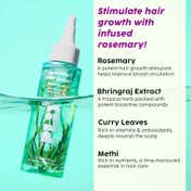 Plix The Plant Fix Rosemary Hair Care Kit Shampoo + Conditioner + Hair Oil (3 pcs)