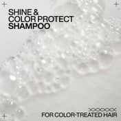 REDKEN Acidic Color Gloss Sulphate-Free Shampoo,For Color Protection & Shine (300 ml)