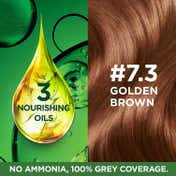 Garnier Color Naturals Creme Riche Hair Color - Shade 7.3 Golden Brown (55ml + 50g)