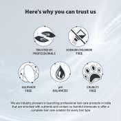 QOD Professional Max Prime After Treatment Shampoo (300ml)