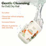 Sacred Grove Hair Cleanser with Reetha Herbal Shampoo (250 ml)