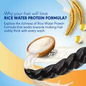 Clinic Plus Strong & Thick Shampoo with Rice Water Protein + Vitamin E (175 ml)
