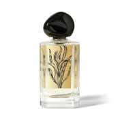 Secret Alchemist Signature Line Fresh Vetiver Perfume for Men (100 ml)