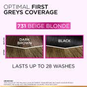 L'Oréal Paris Casting Creme Gloss Hair Color with Glycolic Gloss Complex - 731 Beige Blonde (159 g)