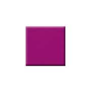 Colorbar Vegan Nail Lacquer - Rapunzel-248 (8 ml)