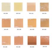 Europe Girl Long-Wear Matte Cover Foundation With SPF 15 - 160 (40 ml)