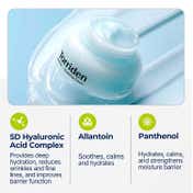 Torriden Dive In Soothing Cream (100 ml)