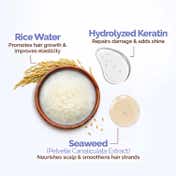 Mamaearth Rice Water & Keratin Shampoo (400 ml) Contains Hydrolyzed Keratin & Seawood