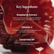Axis-Y Vita Glow Lip Oil - Chilled Berry (4 ml)