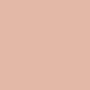 Insight Cosmetics Mega Cover Concealer - LP-05 (10 g)