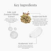 Forest Essentials Advanced Sanjeevani Beauty Elixir Anti-Aging Day Cream (15g)