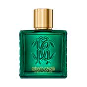 Roberto Cavalli Uomo Verde Assoluto Eau De Parfum for Men (100 ml)