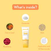WishCare Sunscreen Body Lotion SPF50 PA+++ In Vivo Tested UV Protection No White Cast (100 ml)
