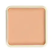 Half N Half Oil Free Pan Cake Wonder Powder - 04 Warm Light (15 g)