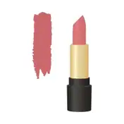 Half N Half Velvet Matte Texture My Colour Lipstick - 12 Flamingo (3.8 g)