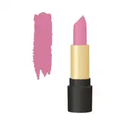Half N Half Velvet Matte Texture My Colour Lipstick - 17 Impassioned (3.8 g)