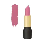 Half N Half Velvet Matte Texture My Colour Lipstick - 27 Lady Bug (3.8 g)