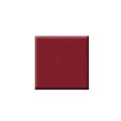 Colorbar Vegan Nail Lacquer - Sangria-009 (8 ml)