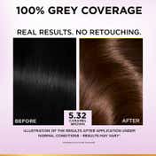 LOreal Paris New Excellence Creme Hair Color Hyaluronic Acid, 5.32 Caramel Brown, (100gm + 72ml)