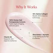 The Face Shop Collagen & Pomegranate Moisturizer Anti Aging Korean Beauty Day & Night Cream (100 ml)