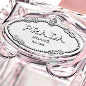 Prada Infusion Rose Eau De Parfum (100 ml)